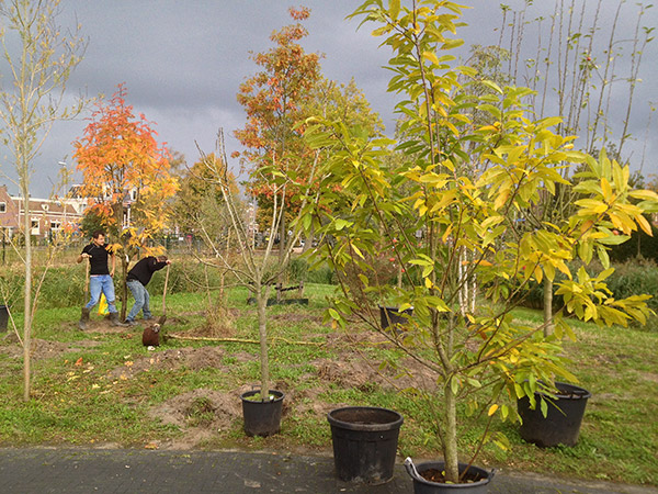 Inbeslagname WaterCampus: boomplantdag