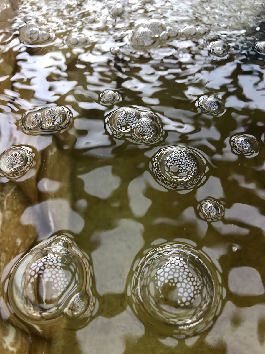 picture of bubbles reflecting the Waterbar